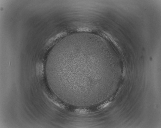 X0000085040211200703121442