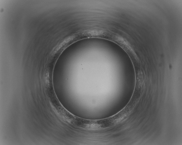 X0000085040212200703121442