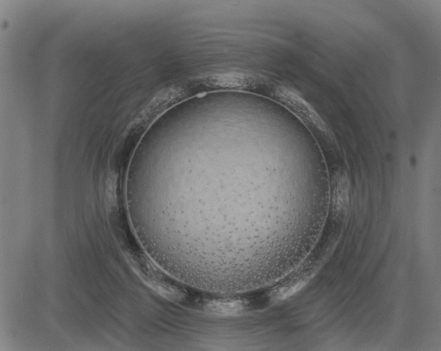 X0000085040213200703121442