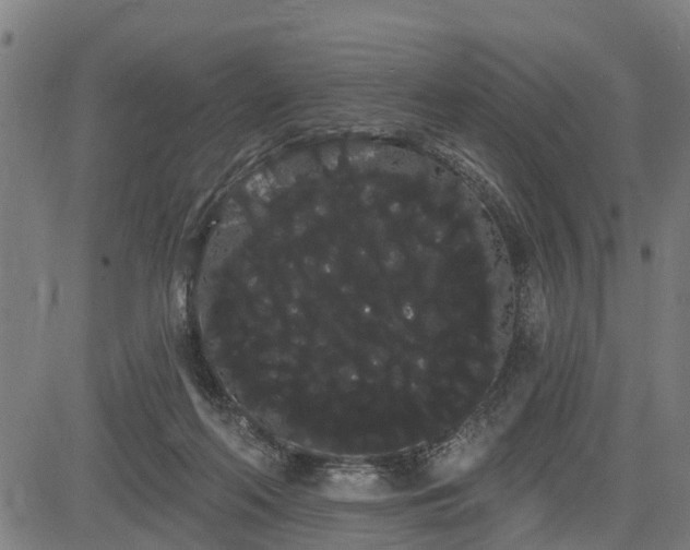 X0000085040214200703121442