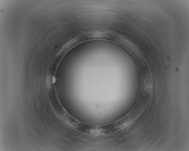 X0000085040216200703121442