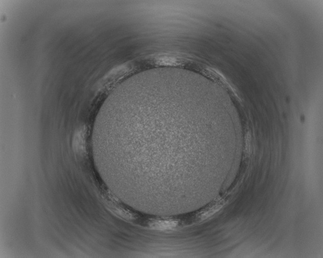 X0000085040217200703121442