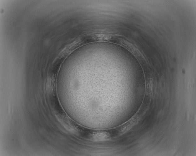 X0000085040218200703121442