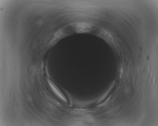 X0000085040219200703121442