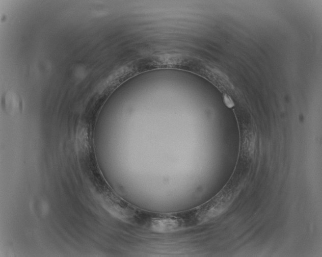 X0000085040220200703121442