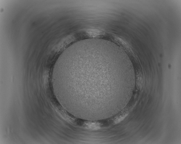 X0000085040221200703121442