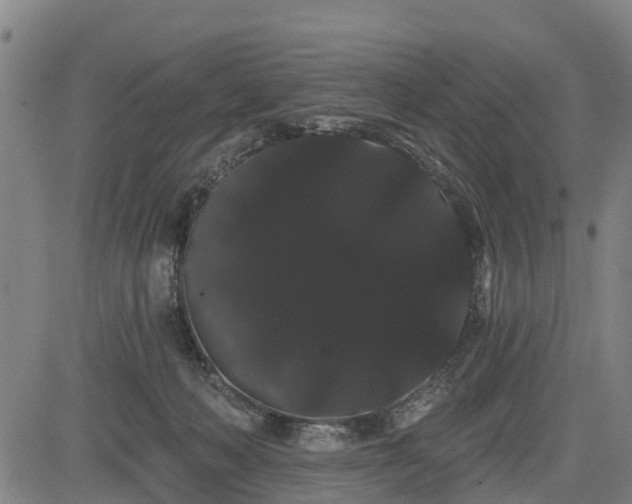 X0000085040222200703121442