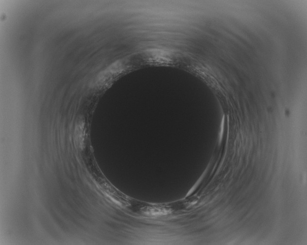 X0000085040223200703121442