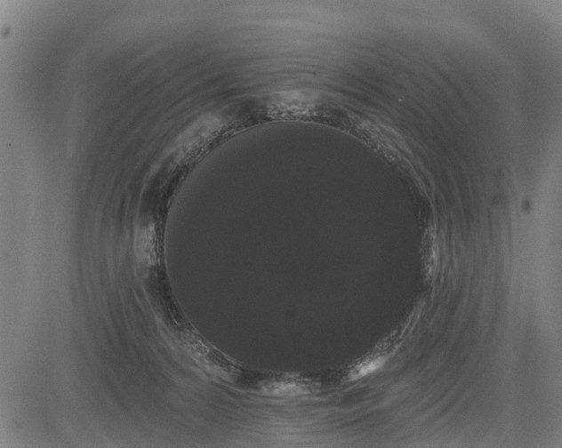 X0000085040224200703121442