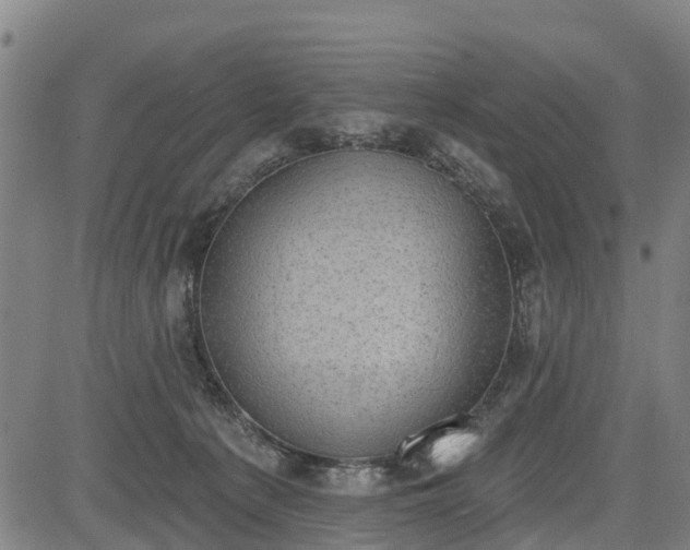 X0000085040225200703121442