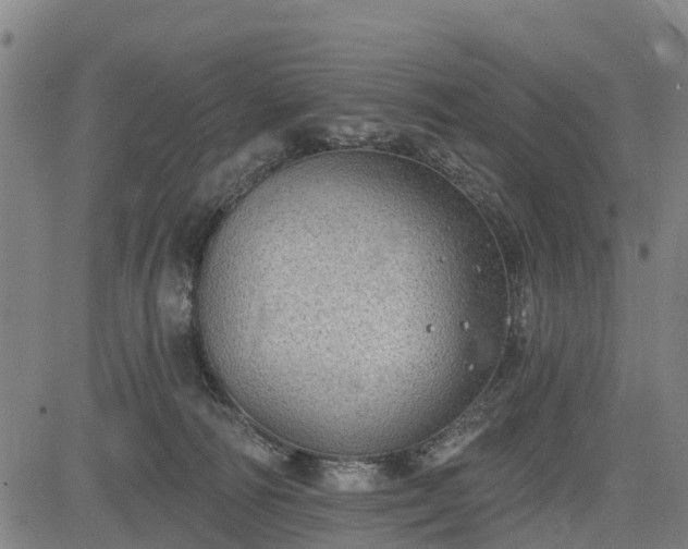 X0000085040226200703121442