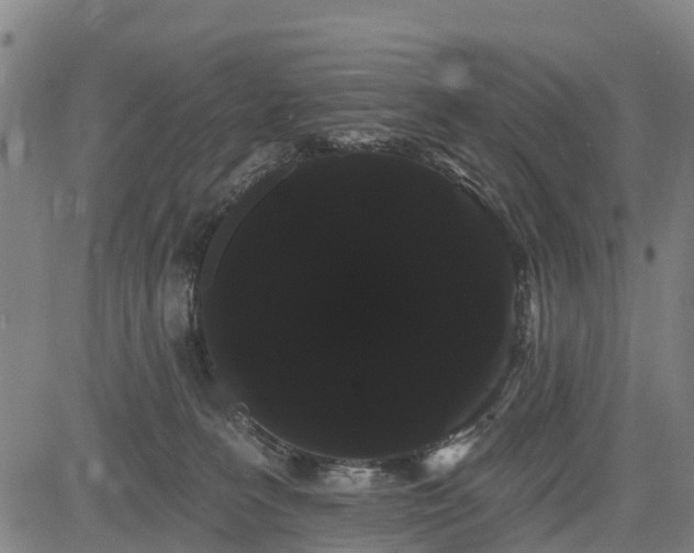 X0000085040227200703121442