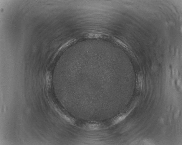 X0000085040228200703121442