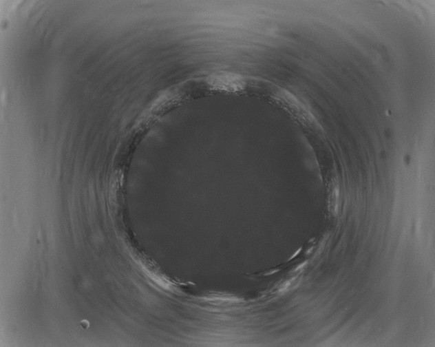 X0000085040229200703121442