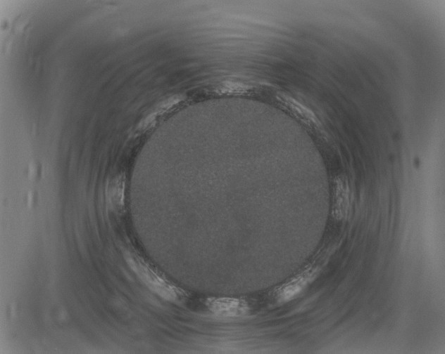 X0000085040230200703121441