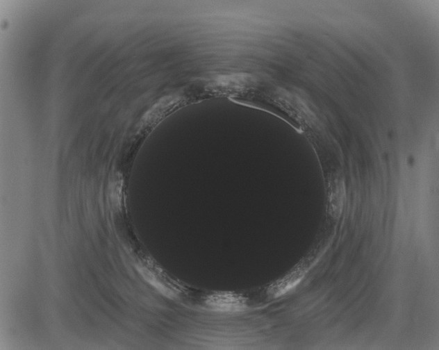 X0000085040231200703121441