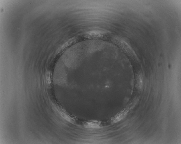 X0000085040232200703121441