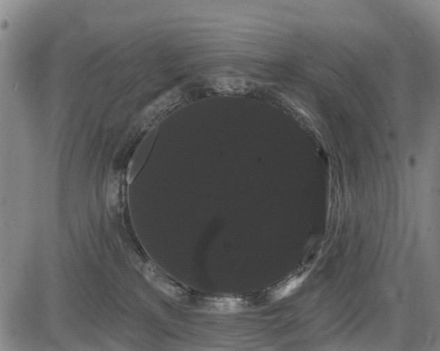 X0000085040233200703121441