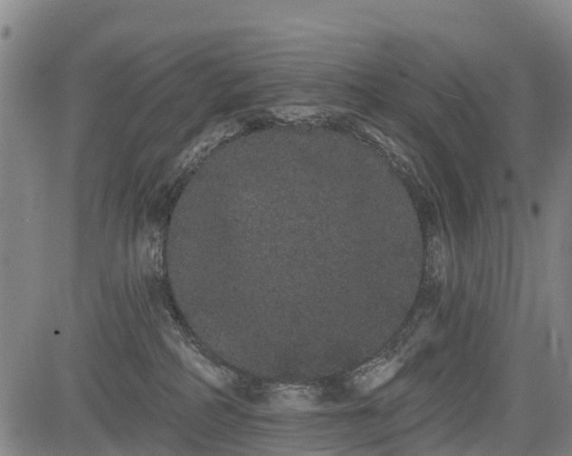 X0000085040234200703121441