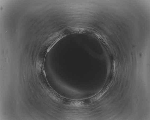 X0000085040235200703121441