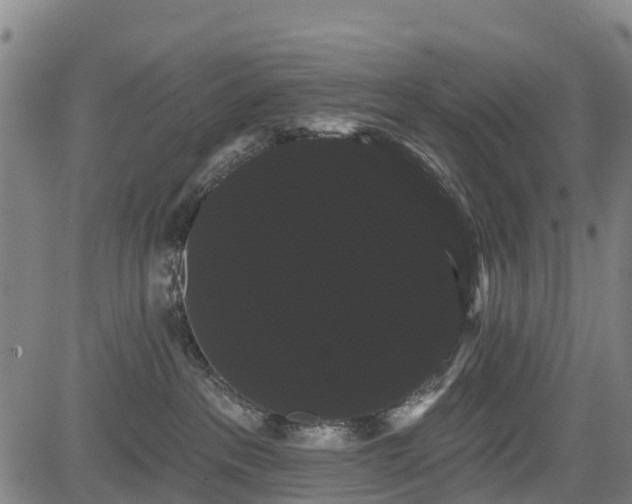 X0000085040237200703121441