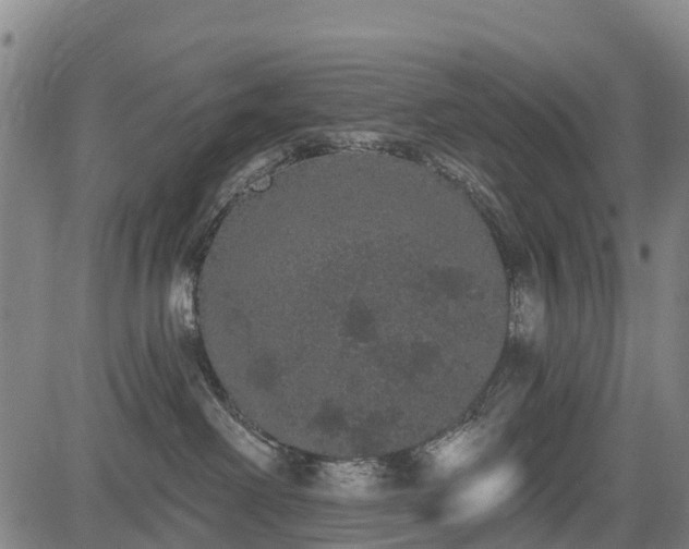 X0000085040238200703121441