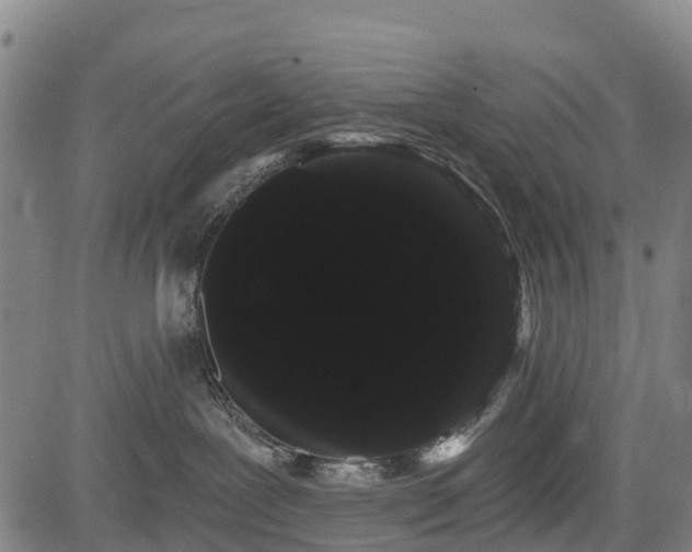 X0000085040239200703121441