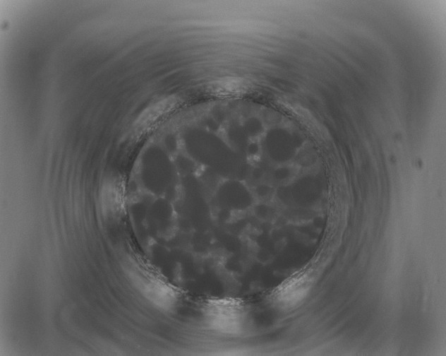 X0000085040240200703121441