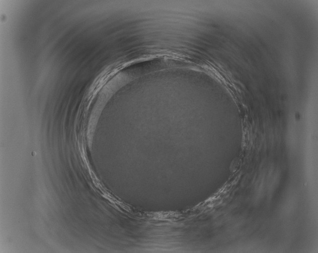 X0000085040241200703121441