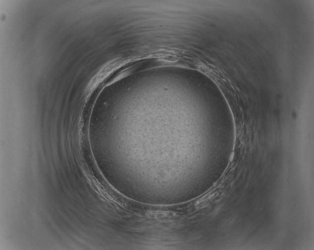 X0000085040242200703121441