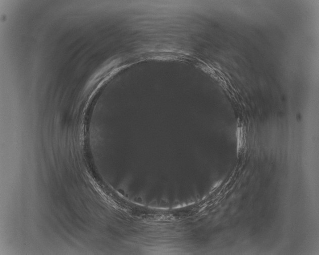 X0000085040243200703121441