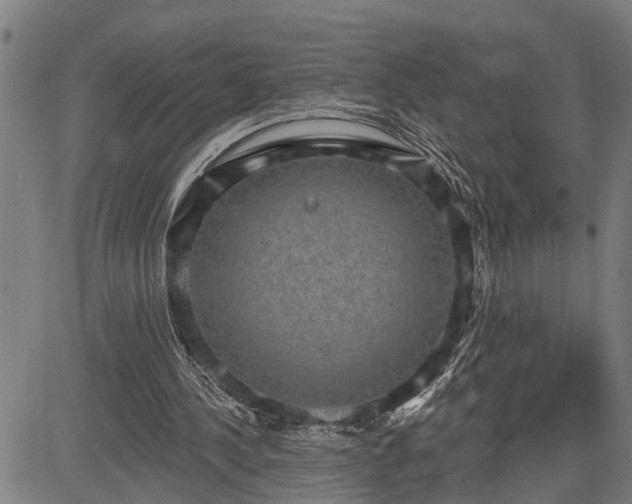 X0000085040244200703121441