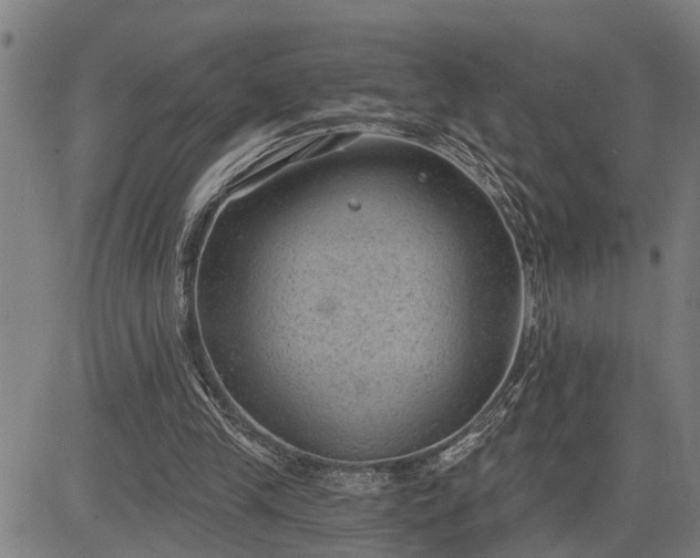 X0000085040245200703121441