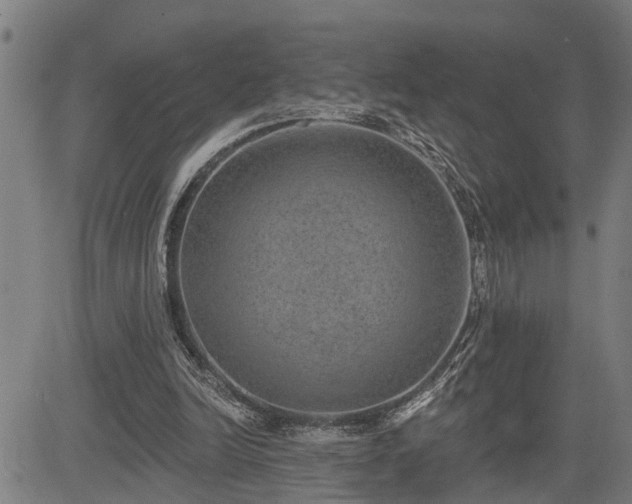 X0000085040246200703121441