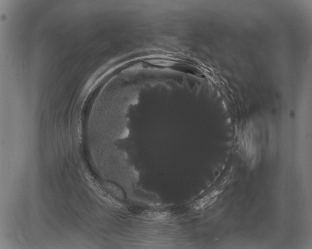 X0000085040247200703121441