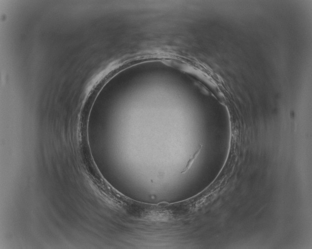 X0000085040248200703121441