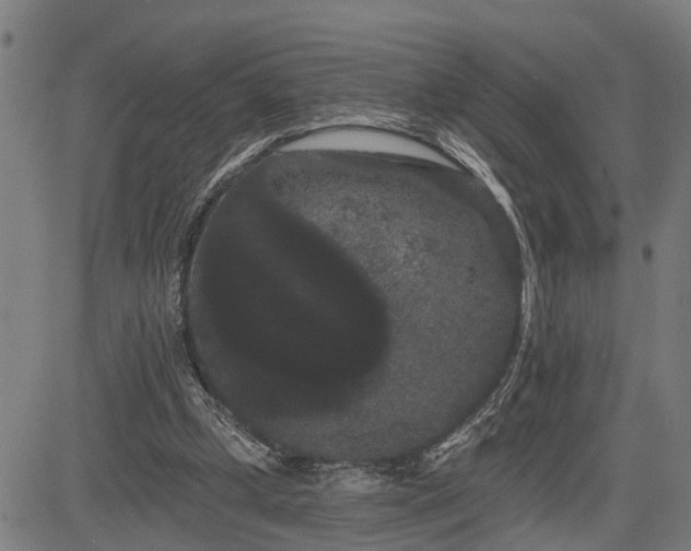 X0000085040249200703121441