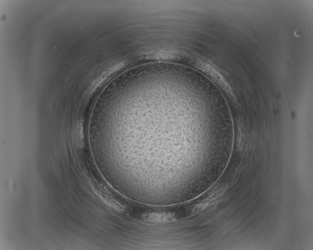 X0000085040251200703121441