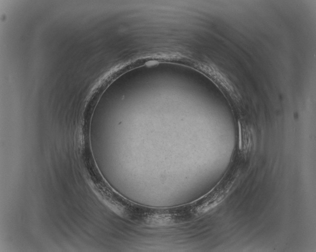 X0000085040252200703121441