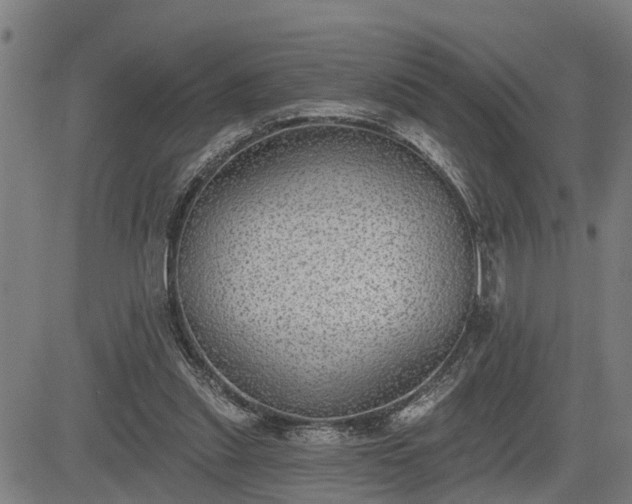 X0000085040253200703121441