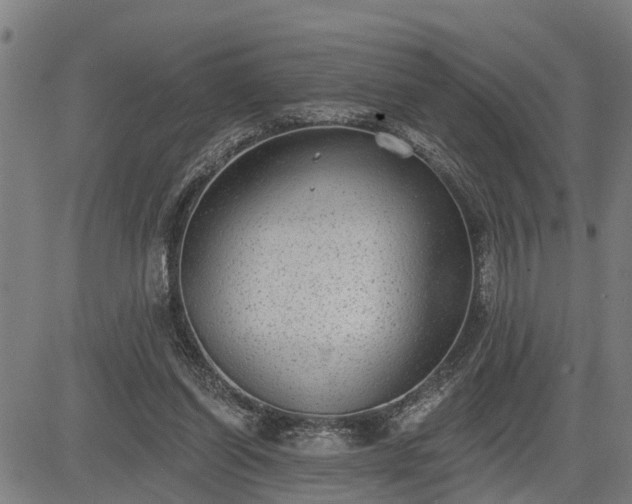 X0000085040254200703121441