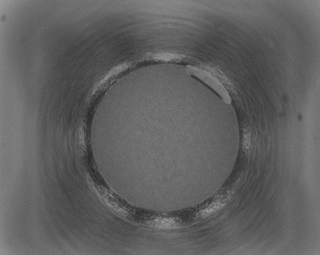 X0000085040256200703121441