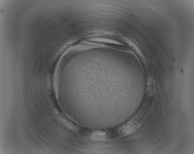 X0000085040257200703121441