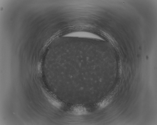 X0000085040258200703121441