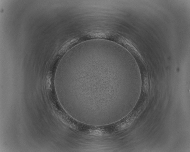 X0000085040259200703121441