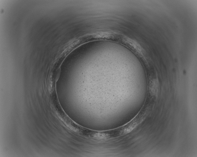 X0000085040261200703121441