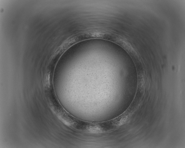 X0000085040262200703121441