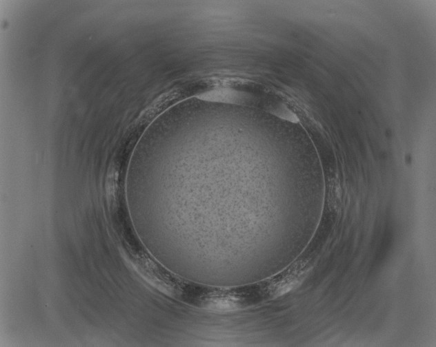 X0000085040263200703121441