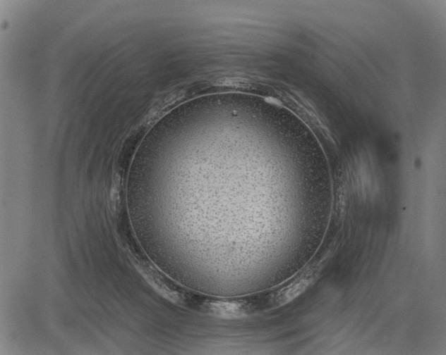 X0000085040265200703121441