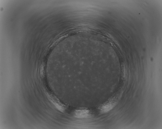 X0000085040266200703121441